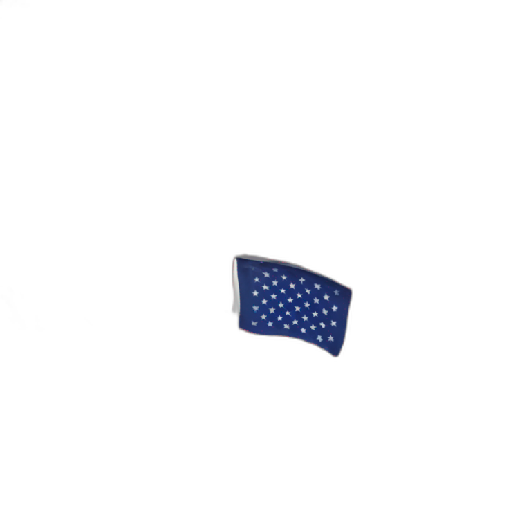 USA flag emoji