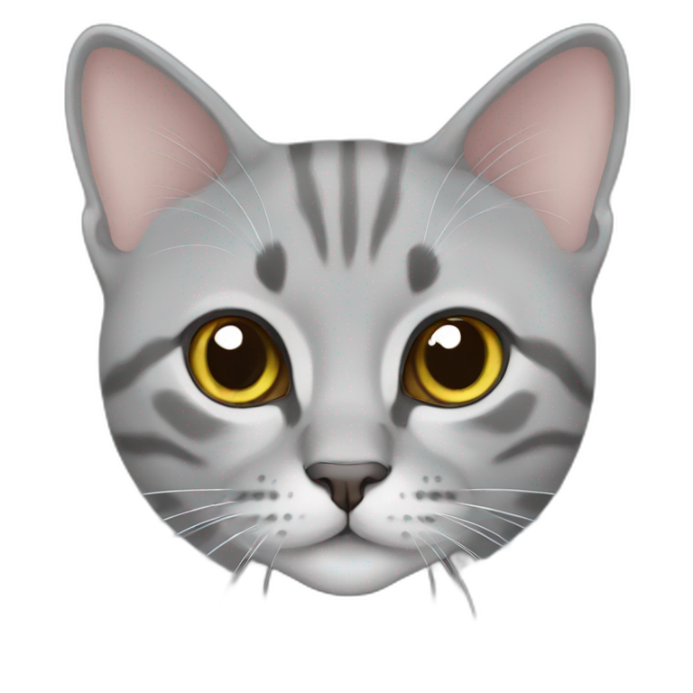 cat british short hair grey emoji