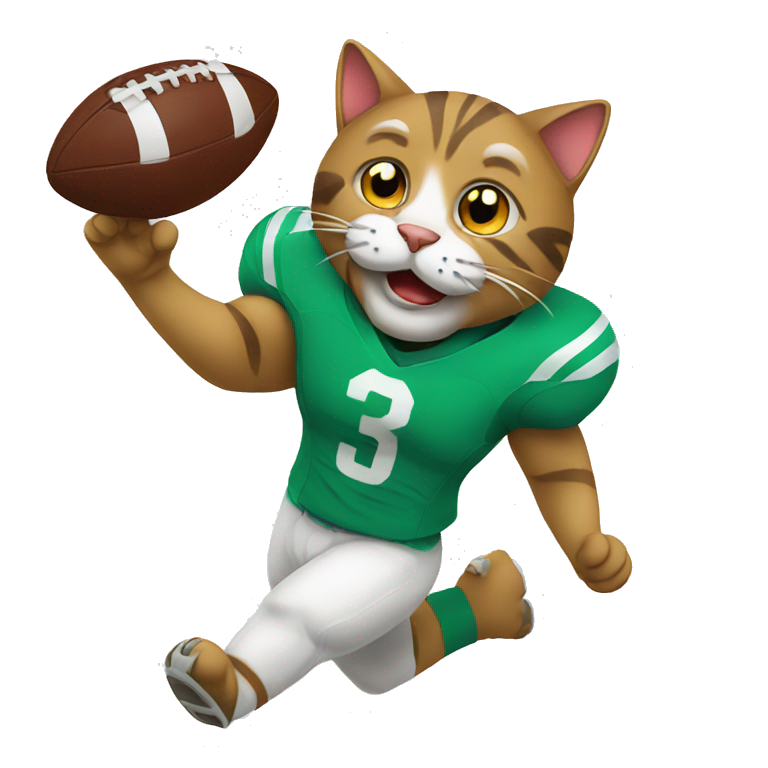 cat playing football emoji