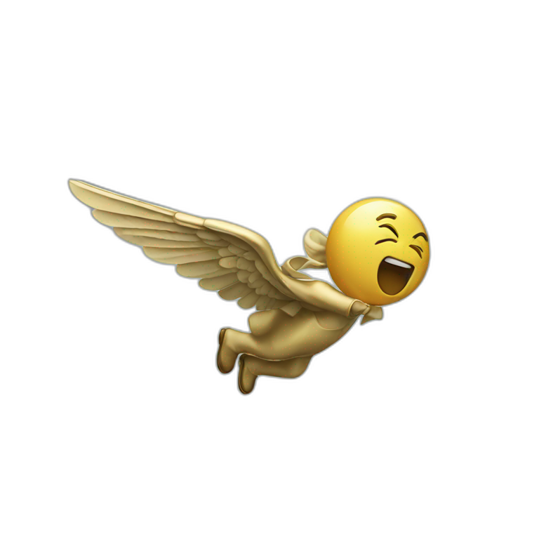 FLYING MONEY emoji