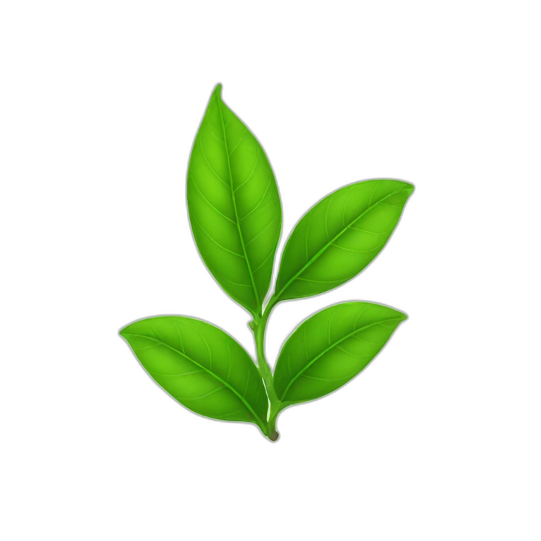 Green tea leaf emoji