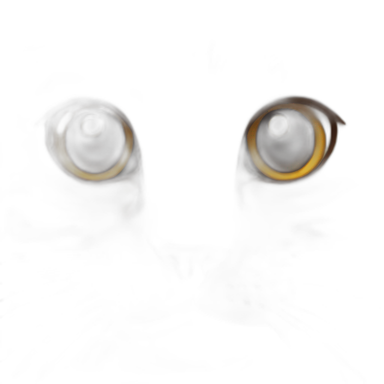 cat with big brown eyes  emoji