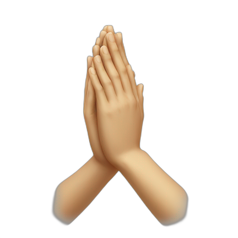 PRAYING HANDS emoji