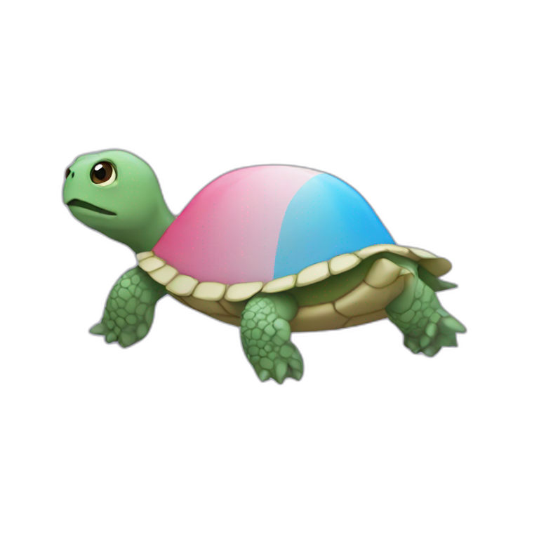 trans flag colored turtle emoji