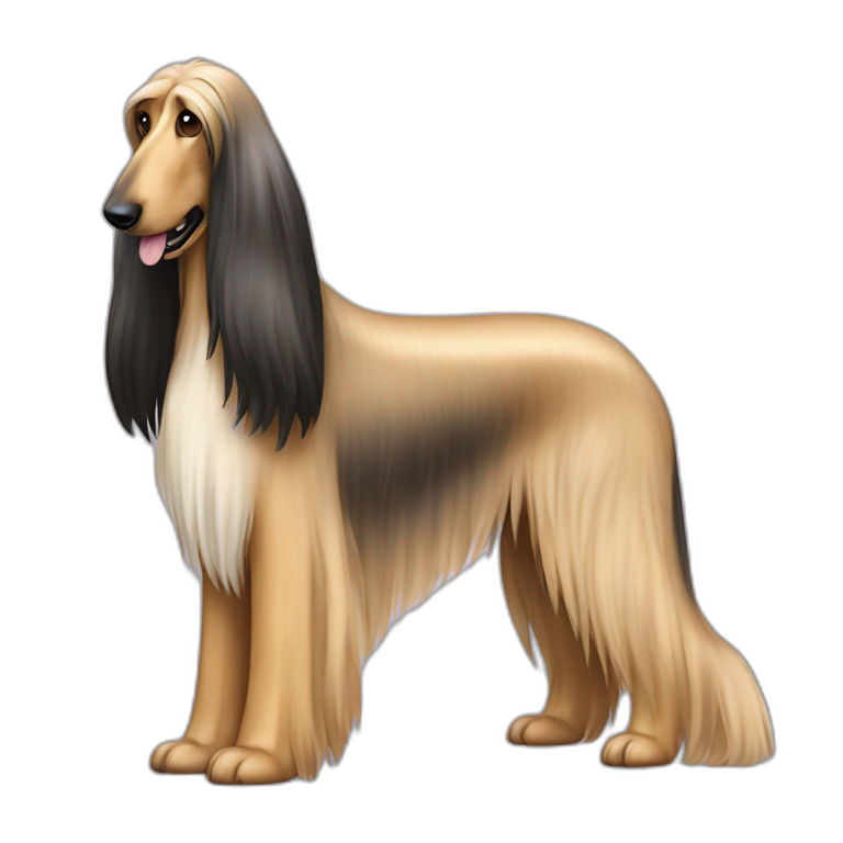 Dog Canine Afghan Hound full-height emoji