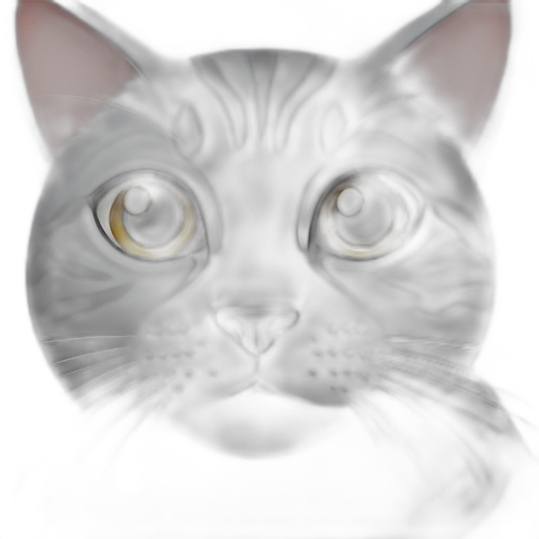 big grey cat emoji
