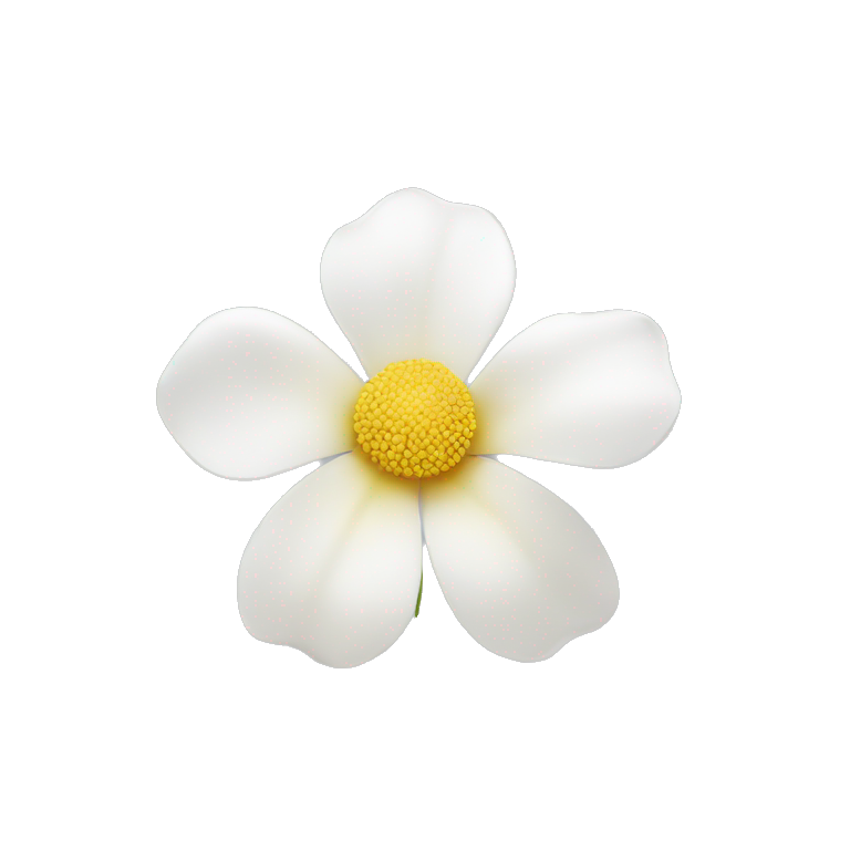 white flower without leafs emoji