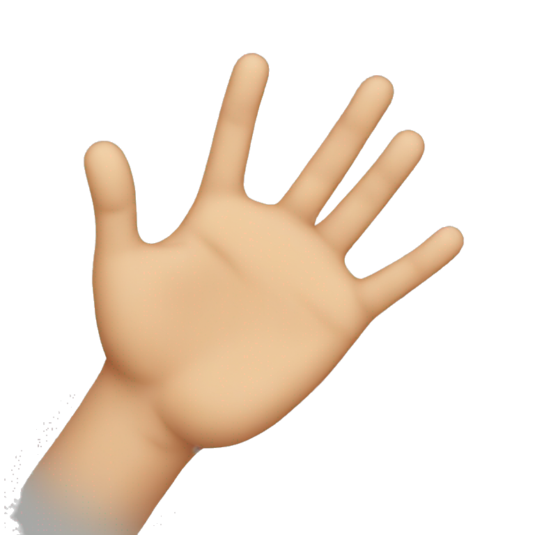 hand to hand emoji