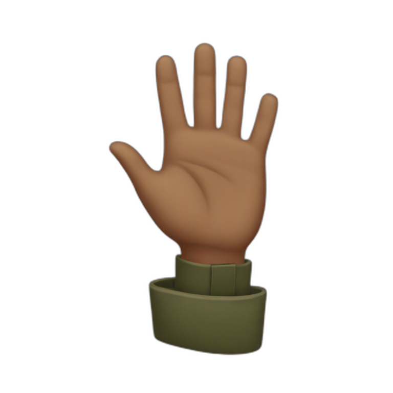 salute-both-hands emoji