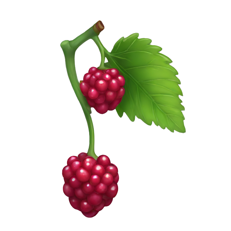 berry emoji