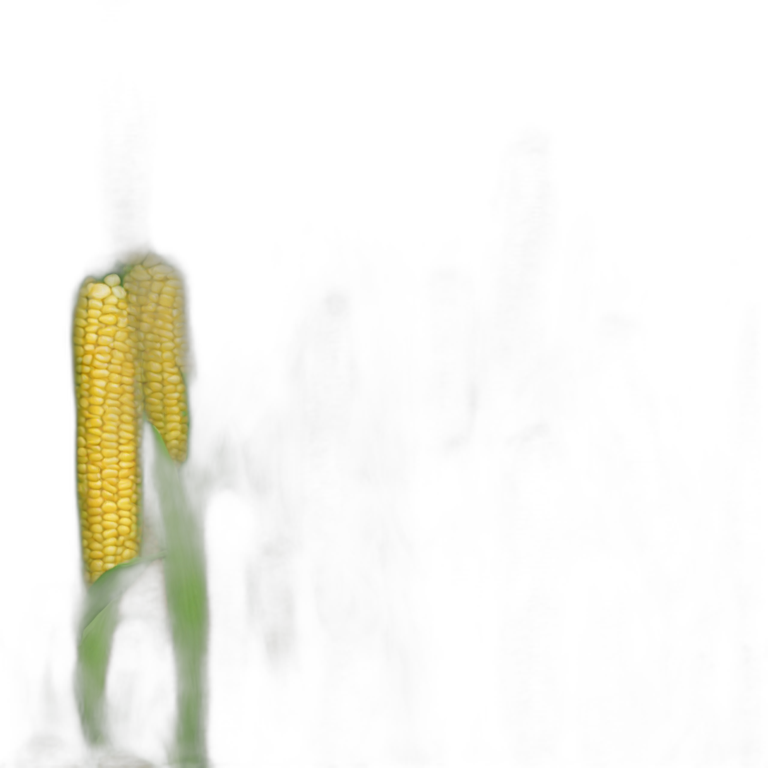 Corn hub emoji
