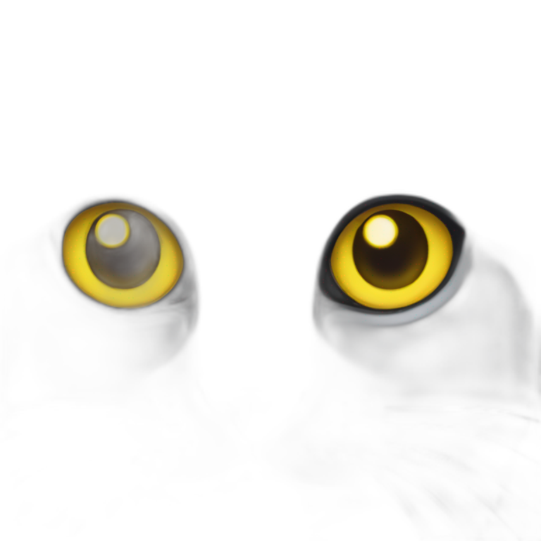 Grey cat and yellow eyes and pink nose  emoji