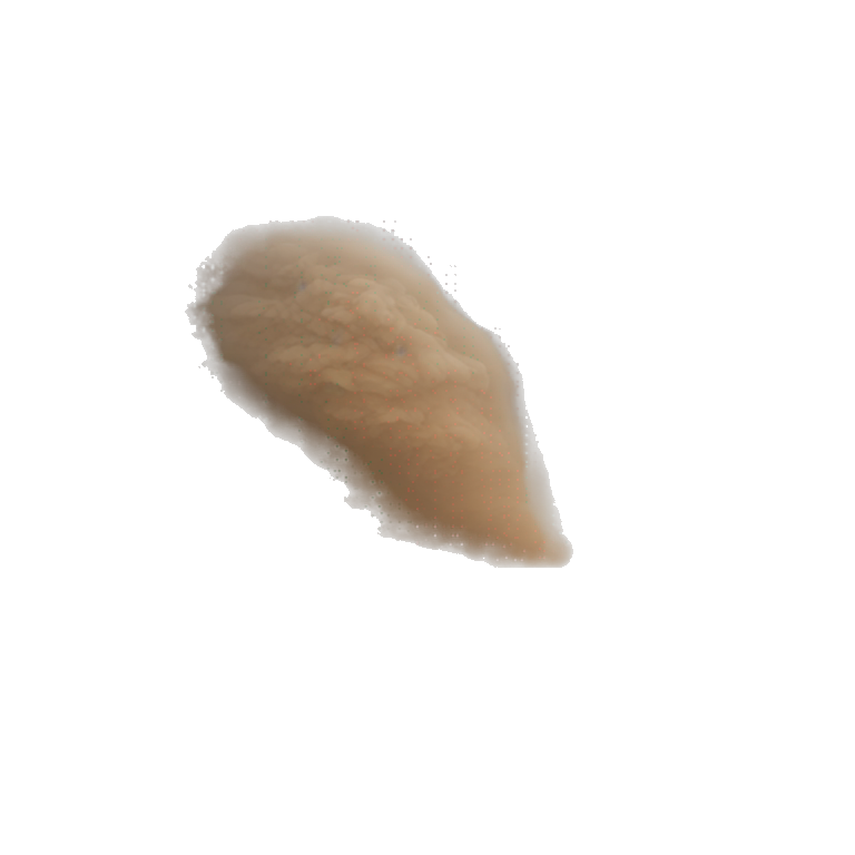 dust storm emoji