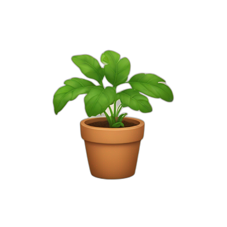 Plant in a pot emoji
