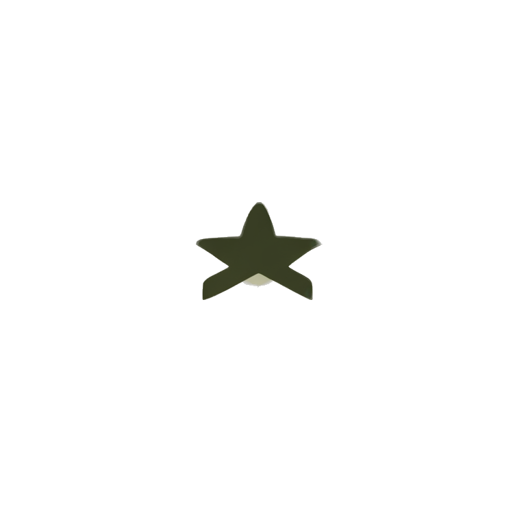 US army Rank Insigma emoji
