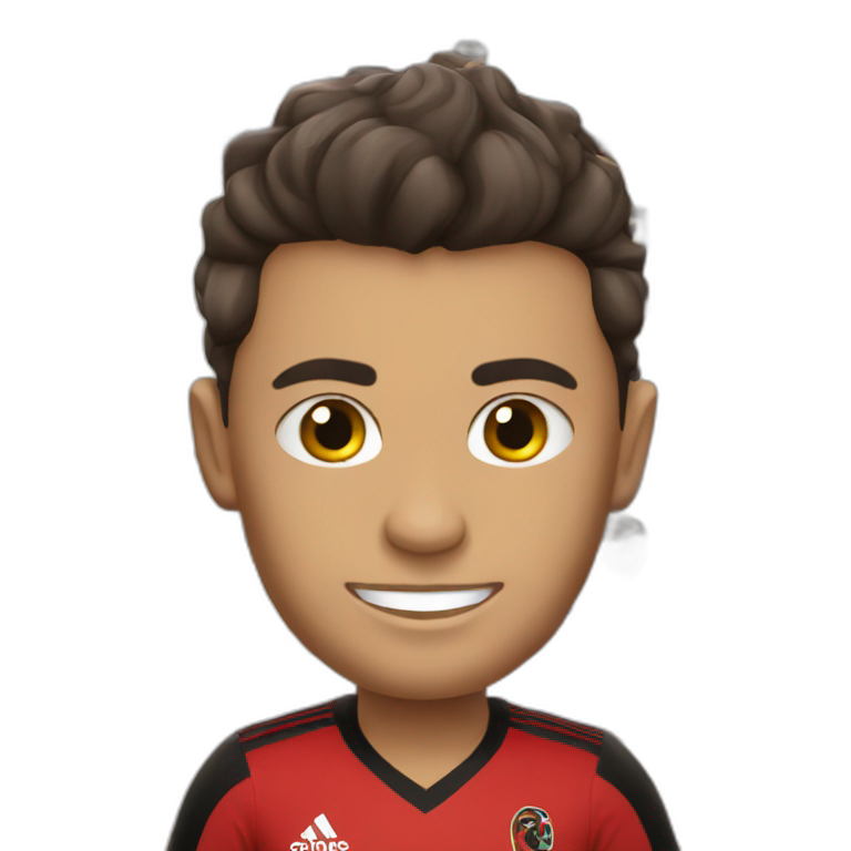 Flamengo soccer team emoji