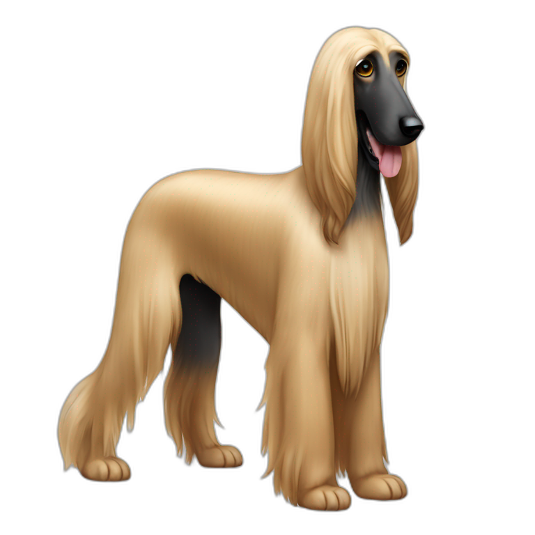 Dog Canine Afghan Hound full-height emoji