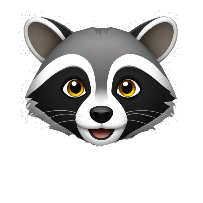 raccoon emoji