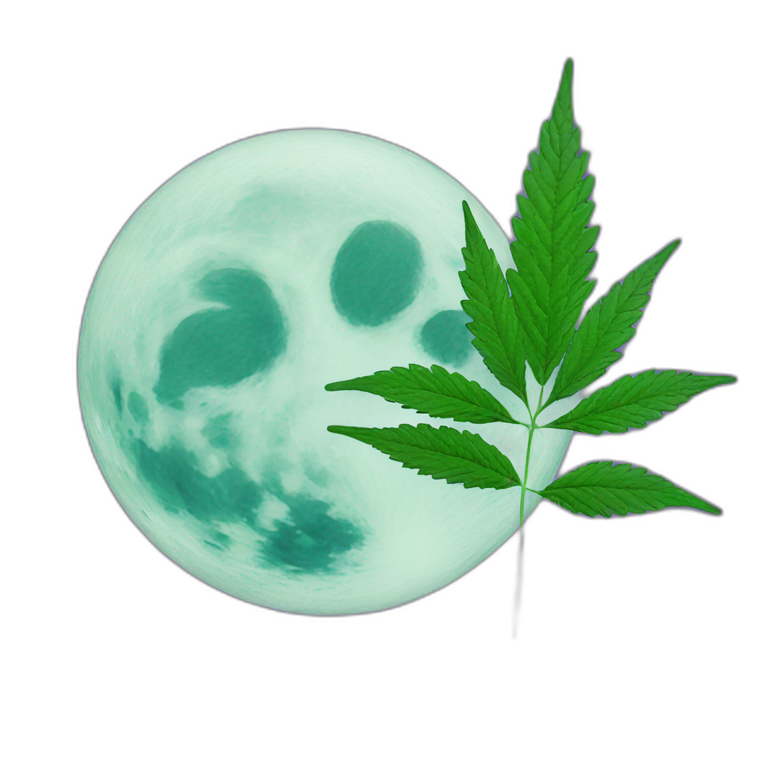 Moon holds cannabis emoji