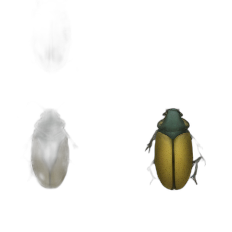 Hercules beetle emoji