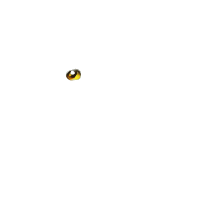 Dracofeu  emoji