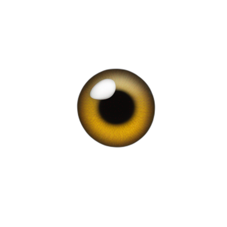 hairy eyeball emoji