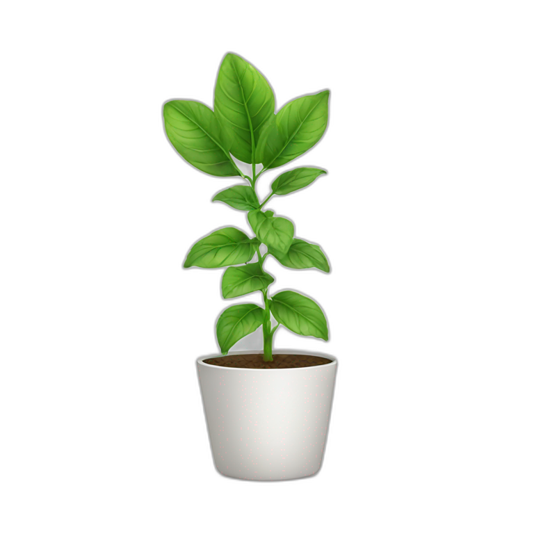 plant in white pot emoji