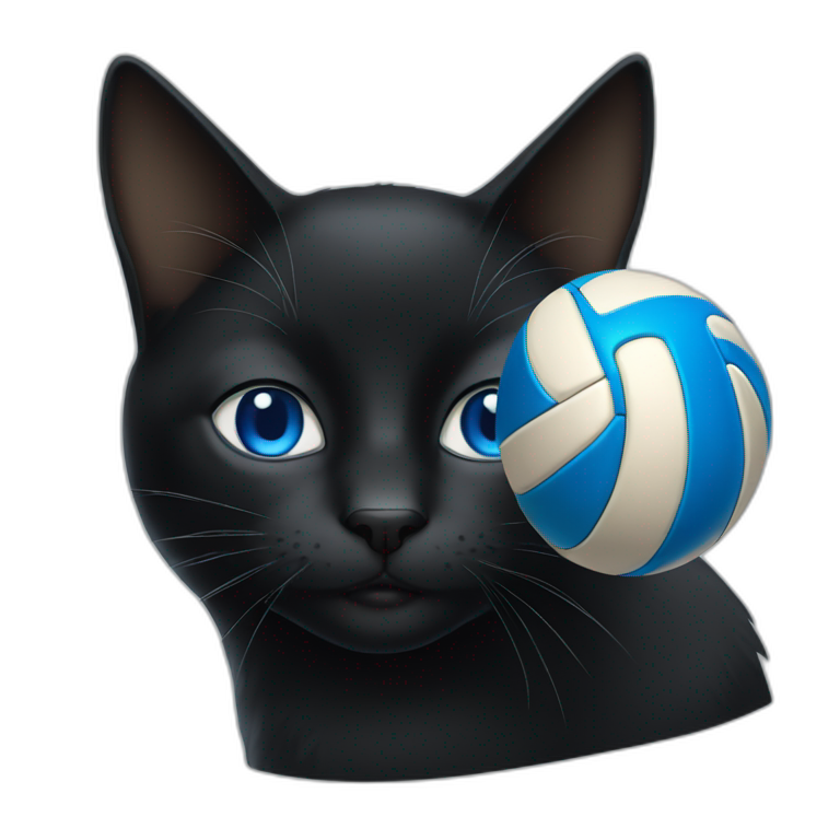 a black cat with blue eyes and a volleyball emoji