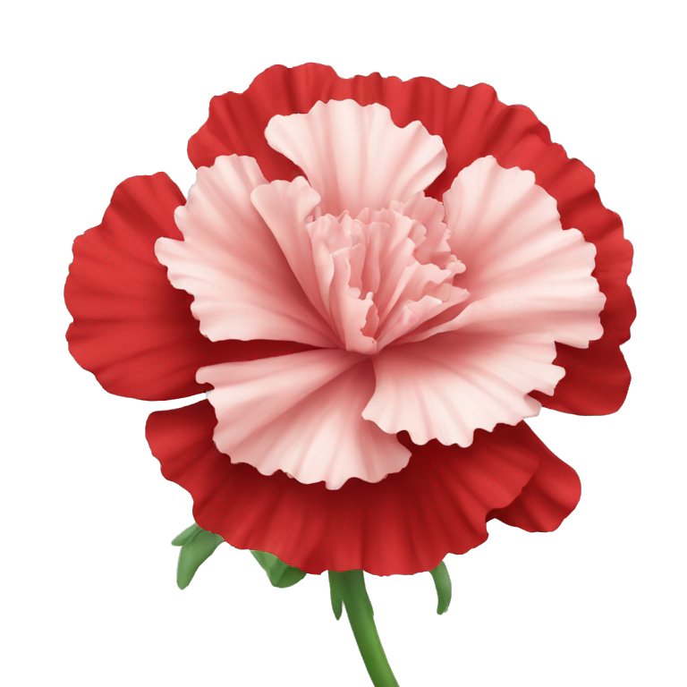 red Carnation flower emoji