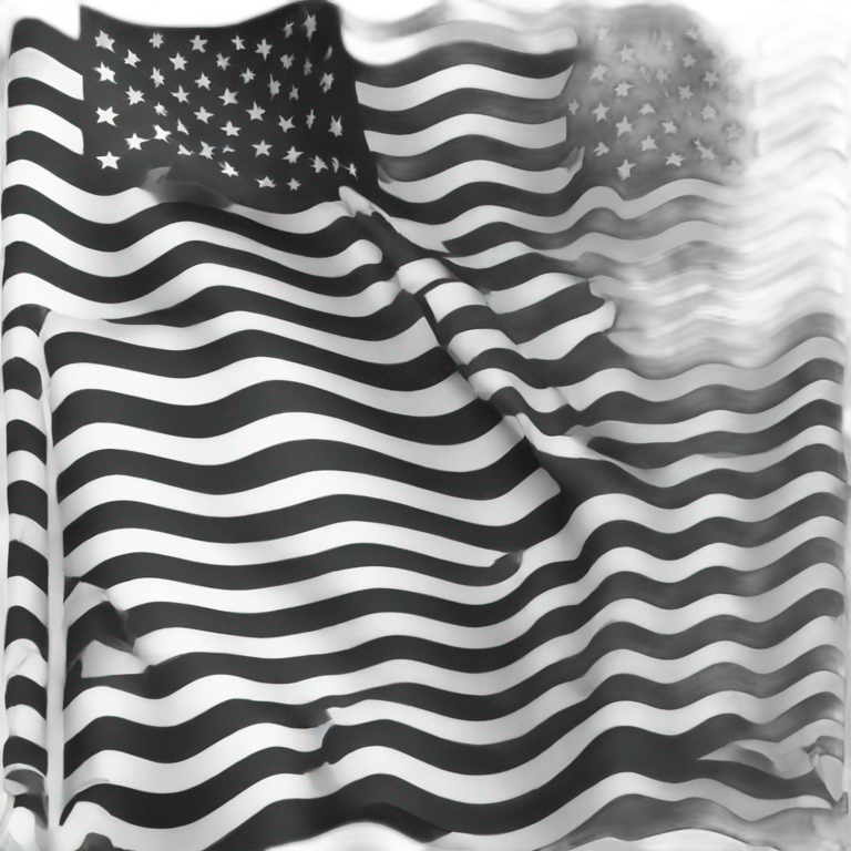 Black and white United States flag emoji