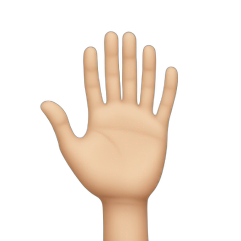hands on emoji